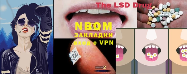 индика Бронницы