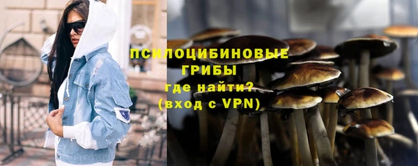 трава Бородино