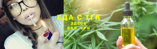 индика Бронницы