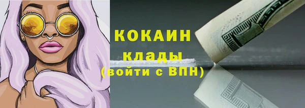 индика Бронницы