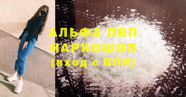 индика Бронницы