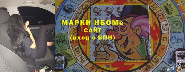 индика Бронницы