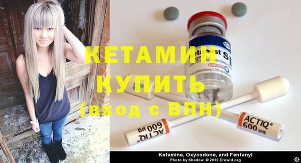 индика Бронницы