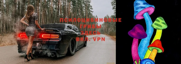 индика Бронницы