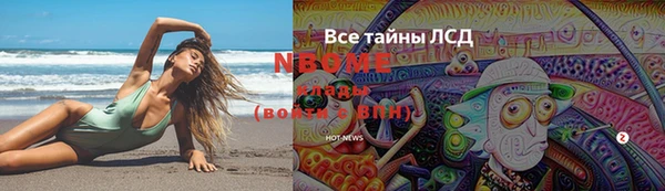 трава Бородино