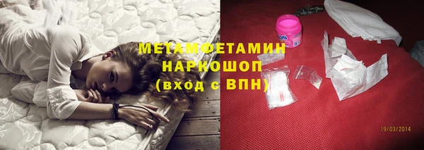 индика Бронницы