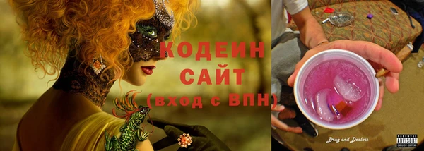 индика Бронницы